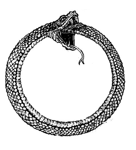 Oroboros Ouroboros Tattoo, 16 Tattoo, Tattoo Snake, Serpent Tattoo, Eternal Return, Pagan Witch, Diy Tattoo, Snake Tattoo, 문신 디자인