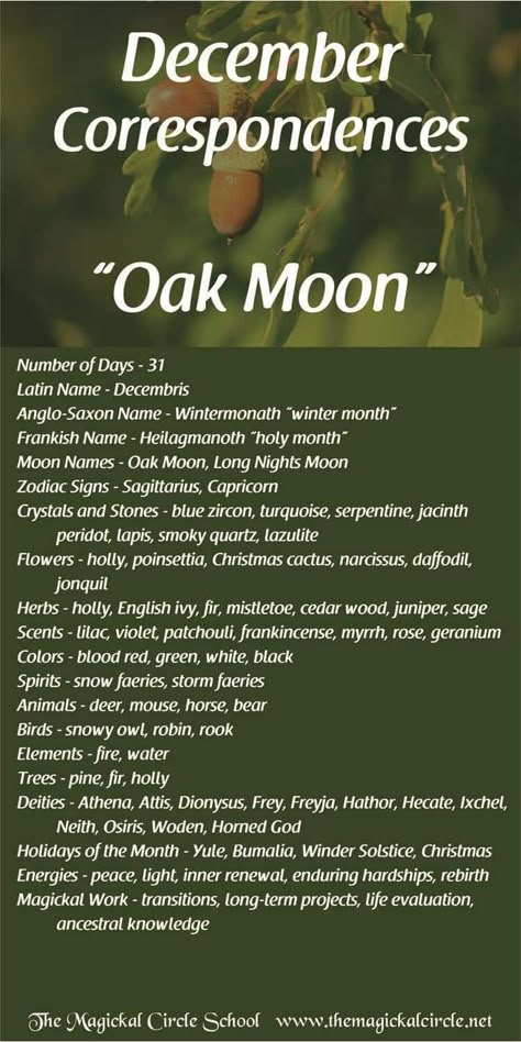 Monthly Correspondences, December Moon, December Full Moon, Full Moon Names, Lunar Witch, Moon Zodiac, Moon Meaning, Moon Names, Witch Crafts