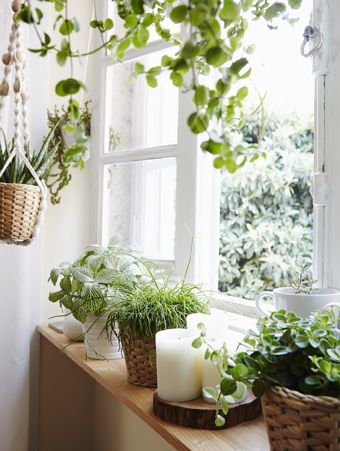 Give your room a new view Plant Window Sill, Window Ledge Decor, Kitchen Bay Window, Window Sill Decor, Window Garden, Plant Window, Window Plants, Window Ledge, Indoor Window