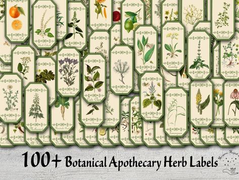 Botanical Labels, Herb Labels, Apothecary Labels, Witch Herbs, Spice Jar Labels, 100 Plus, Spice Labels, Herbal Apothecary, Apothecary Bottles