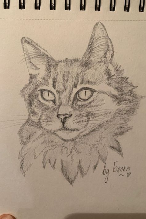 Animal Sketches Easy, Animals Sketch, Aesthetic Cats, Abstract Pencil Drawings, Cats Art Drawing, Seni Pastel, Color Drawing Art, Animal Drawings Sketches, Cat Sketch