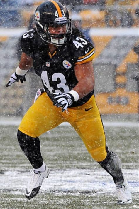 Mj Aesthetic, Football Swag, Pittsburgh Steelers Wallpaper, Jack Lambert, Pittsburgh Steelers Players, Troy Polamalu, Nfl Football Pictures, Nfl Football Art, Steelers Girl