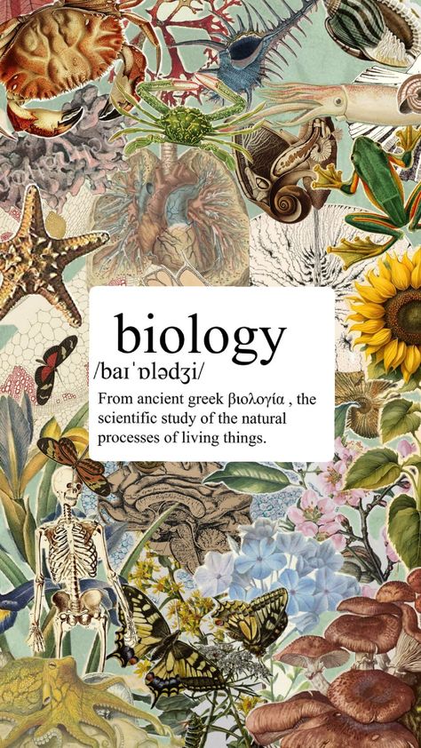 #biology #anatomy Aesthetic Biology Pictures, Biology Notebook Cover Ideas Aesthetic, Gen Biology Design, Biology Aesthetic Cover, Biology Teacher Aesthetic, Biology Book Cover, Biology Collage, Biology Aesthetic Wallpaper, Biology Student Aesthetic