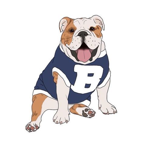 Butler Bulldogs, English Bulldog, Scooby Doo, Bulldog, Fictional Characters, Blue, Quick Saves, Art