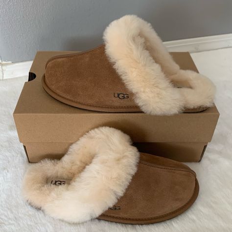 New Ugg Scuffette Ll Slippers Size Various Suede Uppers Sheepskin Collar Sheepskin Lining And Insole Rubber Outsole Sz Tag Have Been Marked To Prevent Return Ugg’s Slippers, Ugg Slippers Scuffette, Uggs Cozy Slippers, Igg Slippers, Uggs Scuffette, Ugg Slippers Aesthetic, Ugh Slipper, Aesthetic Slippers, Cute Winter Shoes