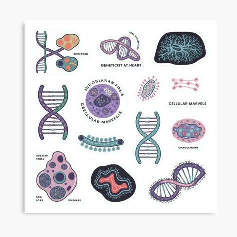 Get my art printed on awesome products. Support me at Redbubble #RBandME: https://www.redbubble.com/i/canvas-print/Biology-Stickers-DNA-Cells-and-Nature-s-Wonders-by-XquisiteFashion/164648209.5Y5V7?asc=u Biology Stickers, Biology Art, Cell Biology, Biology, My Art, Awesome Products, Canvas Print, Canvas Prints, Wonder