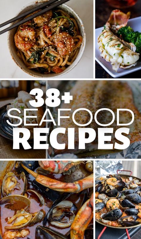 38+ Stunning Seafood Recipes Fancy Seafood Recipes, Seafood Bar Ideas, Seafood Platter Ideas, Seafood Extravaganza, Seafood Cuisine, Seafood Scallops, Dinner Seafood, Seafood Dish Recipes, Seafood Feast