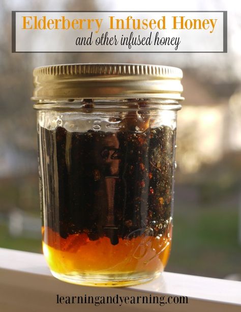 Make elderberry, or other herbal infused honey for a delicious home remedy for colds, flu, or even to help you sleep. Elderberry Honey, Infused Honey, Herbal Recipes, Herbal Healing, Stuffy Nose, Cold Home Remedies, Honey Recipes, Cold Remedies, Natural Therapy