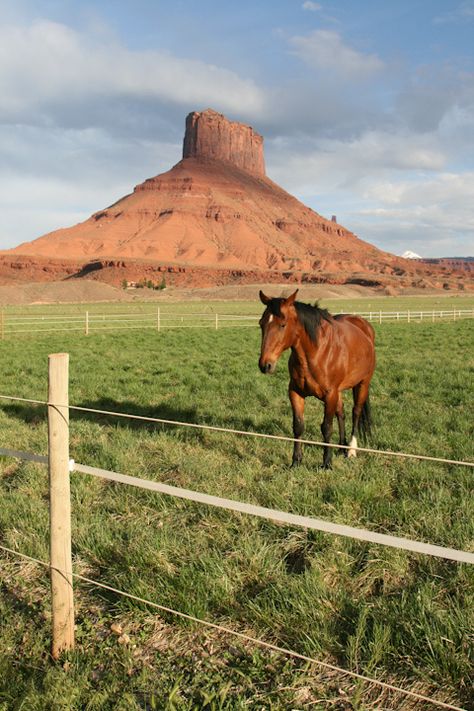 Skinwalker Ranch Utah, Utah Ranch, Horses In Montana, Lone Mountain Ranch Montana, Ranch Resort, Ranch Hand, Wild Horse Island Montana, Canyon Ranch, Western Life