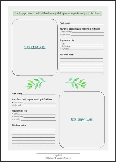 Plant Journal Template, Gardening Journal Printables, Garden Journal Template, House Plants For Beginners, Plants For Beginners, Houseplant Care, Plant Journal, Indoor Plant Care, Plant Tags