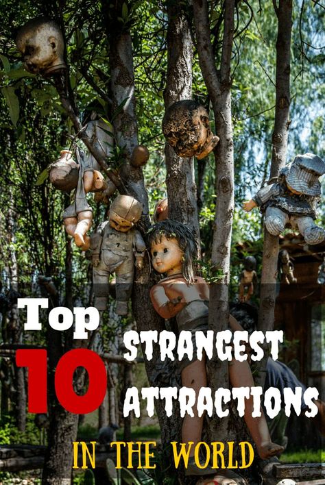 The 10 STRANGEST travel destinations in the world http://www.wheressharon.com/discussion/top-10-worlds-strangest-attractions/ Travel Blog Post Ideas, Strange Places, Scary Places, Honeymoon Travel, Haunted Places, Tourist Spots, Future Travel, Weird And Wonderful, Travel Advice