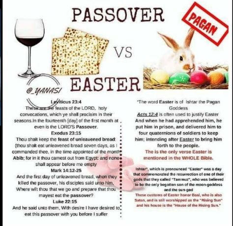 Revelation Study, Pagan Christmas, Pagan Holidays, Unleavened Bread, Feasts Of The Lord, Bible Study Methods, Bible Quotes Images, Bible Study Notes, Bible Facts