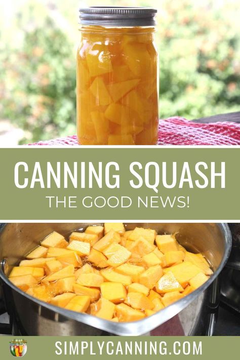 Canning squash in a water bath. Summer squash specifically can be pickled, which does not require a pressure canner. (recipes included) https://www.simplycanning.com/canning-squash/ How To Can Squash Water Bath, Canning Buttercup Squash, Canning Summer Squash Recipes, Canning Blue Hubbard Squash, Canning Acorn Squash Recipes, Canning Winter Squash, Canning Squash For Frying, Canning Squash Recipes, Canning Squash In Water Bath