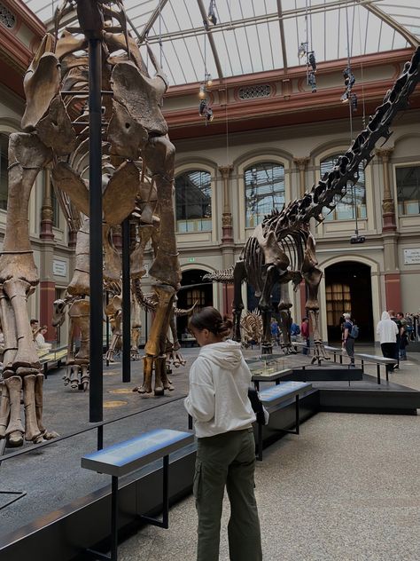 #aesthetic #museum #girlfriend #dinosaur Palentogist Aesthetic, Science Museum Aesthetic, Anthropologist Aesthetic, Paleontology Aesthetic, Museum Date Aesthetic, Dinosaur Aesthetic, Dino Museum, Dinosaur Exhibit, Dinosaur Exhibition