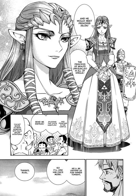 Twilight Princess Manga, Legend Of Zelda Manga, Princess Zelda Costume, Akira Himekawa, Zelda Costume, Princess Sticker, Zelda Twilight Princess, Zelda Art, Twilight Princess