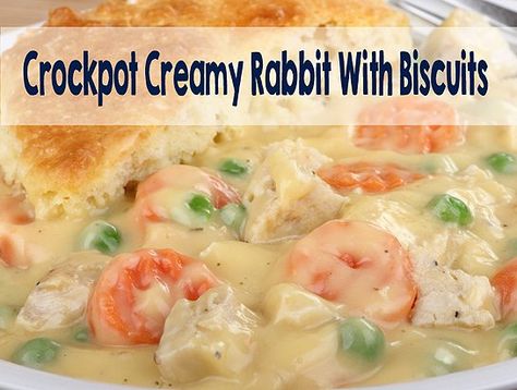 Crock Pot Rabbit Recipes, Rabbit Recipe Crockpot, Crockpot Rabbit Recipe, Rabbit Soup, Easy Rabbit Recipe, Fried Rabbit, Rabbit Recipe, Rabbit Recipes, Rabbit Meat