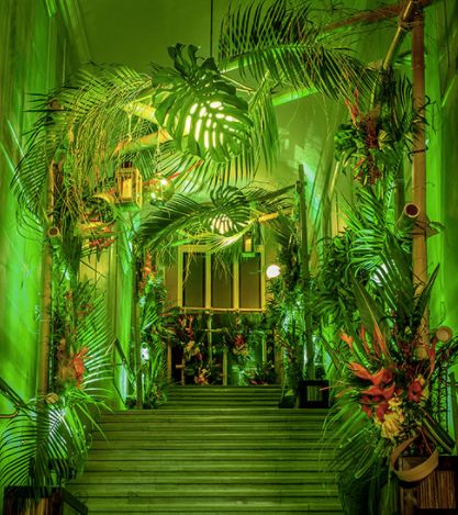 Foliage Lighting, Rainforest Party, Decor Entrance, Tropical Glam, Corporate Events Decoration, Neon Jungle, Jungle Decor, Prom Themes, Deco Jungle