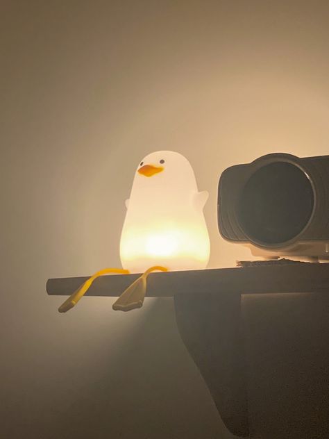 Duck Themed Room, Aesthetic Duck Wallpaper, Duck Furniture, Fairy Core Room, Aesthetic Duck, Duck Lamp, Duck Wallpaper, Duck Photo, Duck Decor