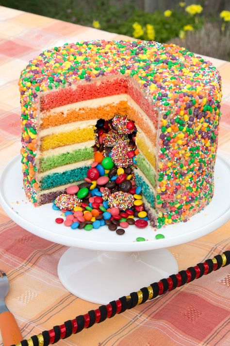 Rainbow cake and a Pinata! Wow! That’s how to finish a series with a Bang! This was the final cake in my Pound Cake Series. Check out the complete series Here. Watch how to make this fantastic Rainbow Pinata Surprise Cake. All made with the original Pound Cake recipe. And if you love everything Rainbow … Piniata Cake, Pinata Cake Recipe, Rainbow Pinata, Whiskey Cake, Yoghurt Cake, Pinata Cake, Rainbow Birthday Cake, Surprise Cake, Cake Easy