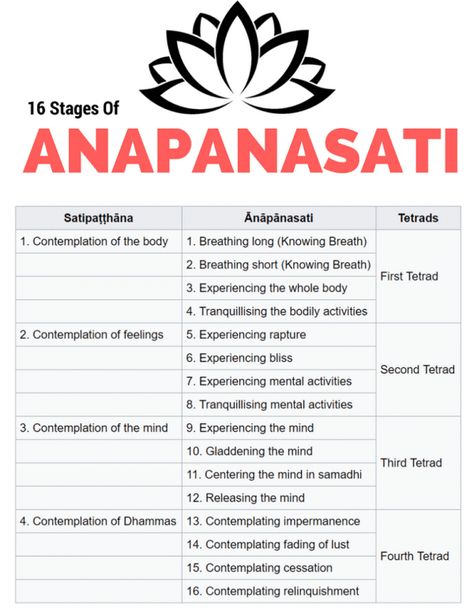 How To Do Anapanasati Meditation Correctly [TUTORIAL] Anapanasati Meditation, Buddhist Mindfulness, Buddhist Meditation Techniques, Breath Meditation, Meditation For Health, Buddha Quotes Life, Vipassana Meditation, Kriya Yoga, Buddhist Wisdom