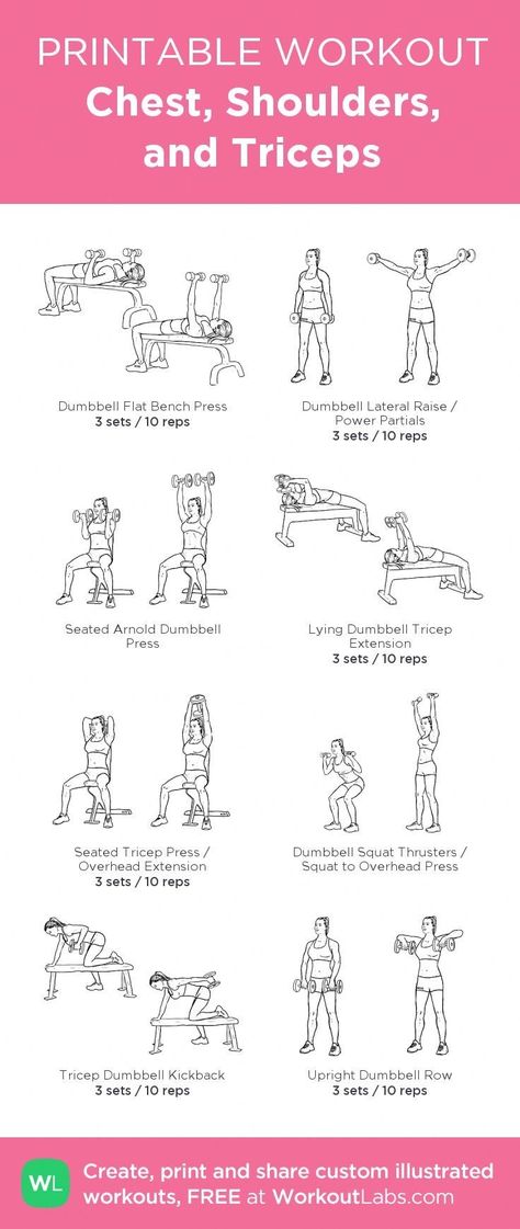 Chest And Tricep Workout, Free Weight Workout, Workout Morning, Workout Fat Burning, Fitness Studio Training, Workout Gym Routine, Printable Workout, Gym Workout Plan For Women, Gym Plan