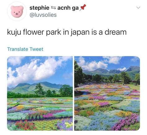 Hi Cute, Flower Park, Meme Twitter, Top Places To Travel, Positive Motivational Quotes, Travel Inspiration Destinations, Amazing Places On Earth, Fun Places To Go, Travel Locations