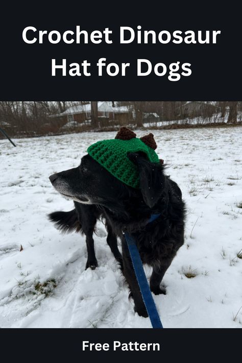 This free crochet pattern is a quick and easy dinosaur hat for dogs. Crochet Dog Hat Free Pattern Large, Crochet Dog Hats Free Pattern, Dog Hat Crochet Pattern Free, Crochet Hat For Dog, Crochet Dog Hat Free Pattern, Crochet Dinosaur Hat, Pet Crochet, Star Crafts, Crochet Dog Hat