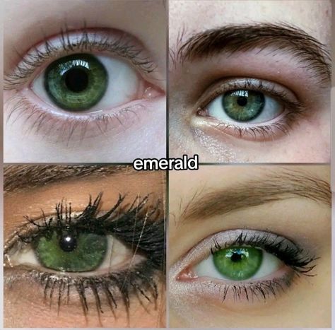 What Colour Hair Suits Green Eyes, Green Eye Color Chart, Different Types Of Green Eyes, Vibrant Green Eyes, Emerald Green Eyes Aesthetic, Central Heterochromia Eyes Green Blue, Emerald Eyes Aesthetic, Types Of Eye Colors, Types Of Green Eyes