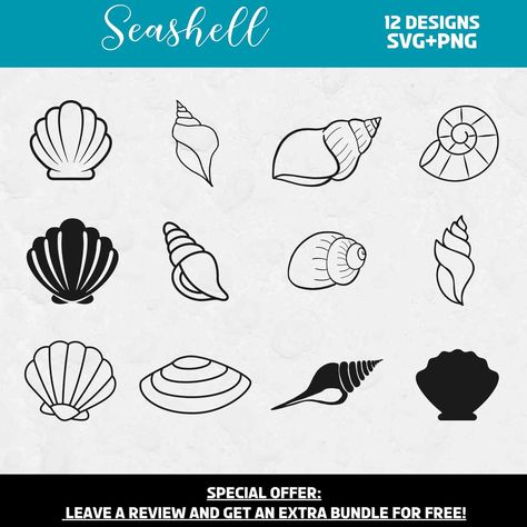 Seashell Svg, Seashell Clipart, Tropical Svg, Summer Camp Packing, Ocean Svg, Cruise Svg, Seashell Design, Beach Svg, Svg Files For Cricut