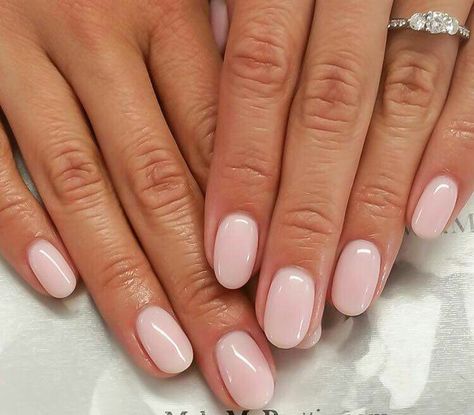 Shellac Nails Simple Sheer Nails, Manikur Kuku, Round Nails, Nail Art Wedding, Shellac Nails, Nagel Inspo, Nails 2024, Oval Nails, Neutral Nails