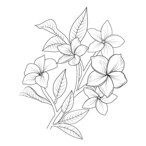 Plumeria Tattoo Stencil, Plumeria Branch Tattoo, Plumeria Flower Tattoos Black And White, Plumarias Flower Drawing, Plumeria Sketch, Plumeria Flowers Drawing, Plumeria Drawing, Hawaii Flower Tattoos, Plumeria Flower Tattoos