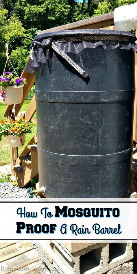 Do you have issues with mosquitoes in your rain barrel? I am going to show you how to mosquito proof a rain barrel! So much cheaper than a new one! Apocalypse Prep, Backyard Hacks, Rain Barrel System, Off Grid Tiny House, Mosquito Screen, Water Barrel, 55 Gallon Drum, Vegetable Garden Diy, Amazing Crafts