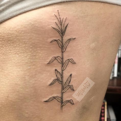 Dainty corn stalk to represent my homegrown, farm roots. Love it!! Corn Stalk Tattoo, Corn Tattoo, Farm Tattoo, Cow Tattoo, Small Girly Tattoos, Theme Tattoo, Tattoo Desings, Girly Tattoos, Tattoo Outline