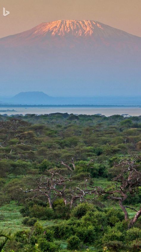 Mount Kilimanjaro Killamanjaro Mountain, Kilimanjaro Photography, Mountain Kilimanjaro, Swahili Coast, Kilimanjaro Mountain, Safari Honeymoon, Kilimanjaro Tanzania, Honeymoon Adventure, Kilimanjaro Climb