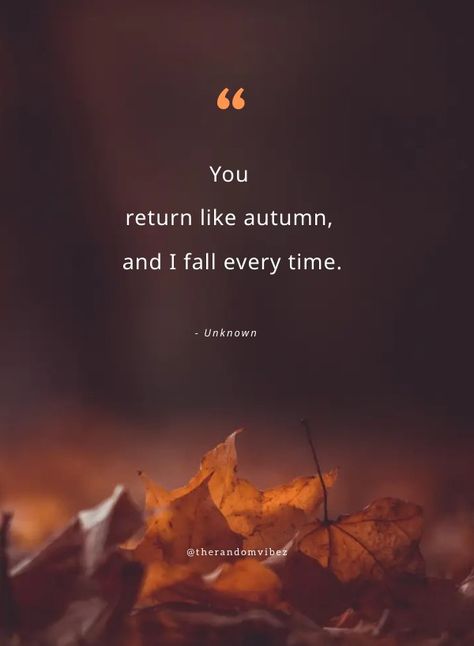 70 Best Autumn Love Quotes For The Fall Season [2022] Autumn Love Quotes, Leaves Quotes, Hello Fall Quotes, Fall Season Quotes, Leaf Quotes, October Quotes, November Quotes, Singing In The Car, Ending Quotes