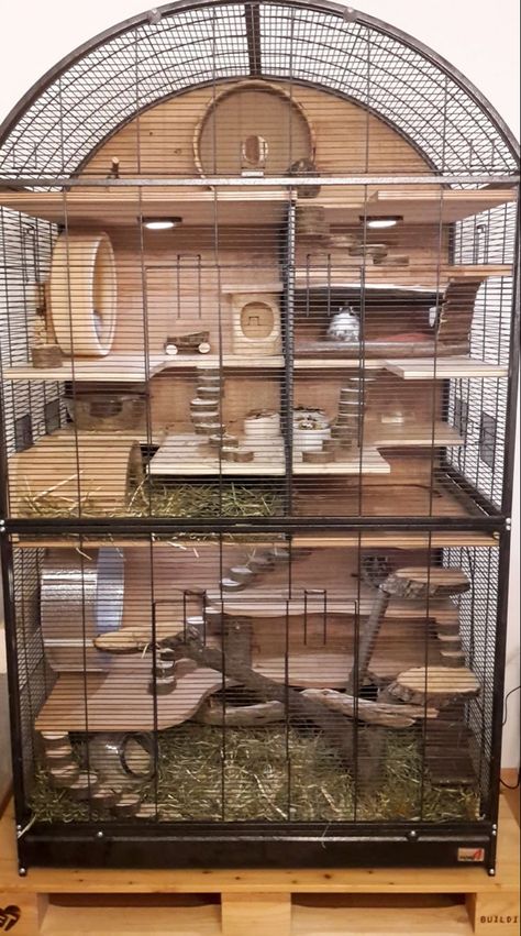 Chipmunk Cage Ideas, Rat House Ideas, Pet Rat Enclosures, Hamster Home Diy, Pet Squirrel Cage Ideas, Degu Cage Ideas, Diy Rat Enrichment, Chinchilla Cage Ideas Diy, Rat Free Roam