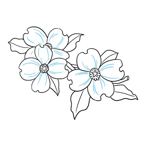 How to Draw Dogwood Flowers - Really Easy Drawing Tutorial Dogwood Flower Drawing, Dogwood Tattoo, Dogwood Flower Tattoos, Flower Coloring Sheets, Printable Flower Coloring Pages, Dogwood Blooms, Garden Coloring Pages, Dogwood Flower, Dogwood Blossoms