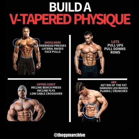 V Taper Physique, V Taper, Man Dress, Gym Workout Chart, Muscle Building Workouts, Workout Chart, Chest Workouts, Bodybuilding Training, Dumbbell Workout