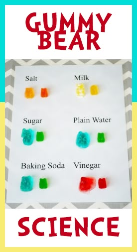 Gummy Bear Science Project, Kids Science Fair Projects, Science Project For Kids, Cool Science Fair Projects, Science Stem, Preschool Science Activities, Science Experiments For Preschoolers, Science Tools, Kid Experiments