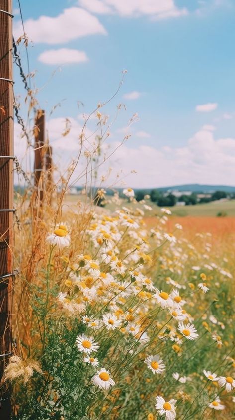 Summer wallpaper countryside grassland outdoors. | premium image by rawpixel.com Summer Country Aesthetic Wallpaper, Pastel Country Aesthetic, Summer Country Wallpaper, Country Side Aesthetic Wallpaper, Western Summer Wallpaper, Country Summer Wallpaper, Wallpaper Aesthetic Country, Garden Background Aesthetic, Vintage Summer Aesthetic Wallpaper