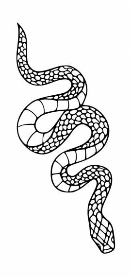 Snake Outline, Show Tattoo, Buddha Wallpaper Iphone, Tattoo Png, Tattoo Svg, Vector Tattoo, Building Silhouette, Fake Tattos, Snake Illustration