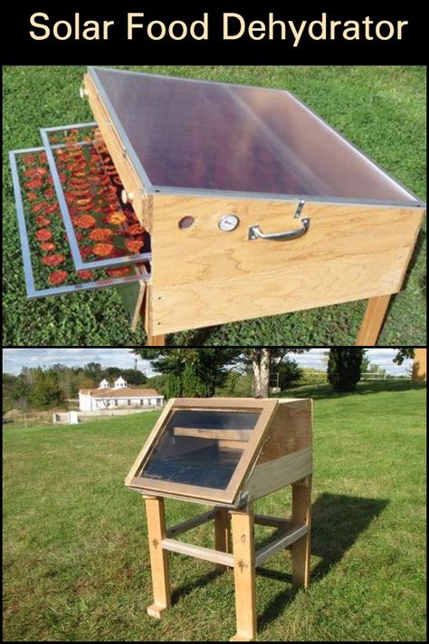 Solar Food Dehydrator, Solar Dehydrator, Food Dryer, Supraviețuire Camping, Food Dehydrator, Homestead Survival, Diy Solar, Dehydrator Recipes, Storage Diy