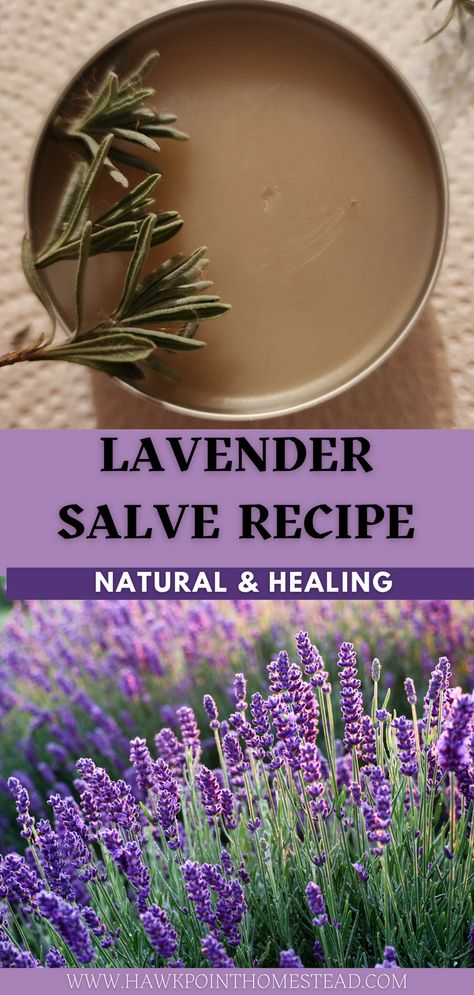 This recipe for homemade soothing lavender salve is so easy and makes a delightful salve that can be used to sooth, heal and moisturize skin. Enjoy making and using your own lavender salve made from natural ingredients and herbs and flowers. It is very easy to make small batches of these salves from simple ingredients. The diy salve would also make a lovely gift! Lavender Salve Recipe, Mint Salve Recipe, Red Clover Salve, Lavender Oil Diy, Homemade Lavender Oil, Homemade Salve Recipes, Diy Salve, Herbalist Garden, Apothecary Recipes