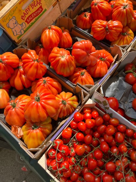 Market Aesthetic, Farm Day, Tomato Season, Funny Story, Book Aesthetics, Main Character, Shrek, Cherry Tomatoes, Farmers Market