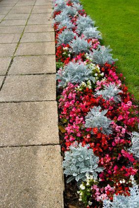 I want to do something similar to this along my walkway with different flowers. Very beautiful. Shelf Garden, Walkway Landscaping, Yard And Garden, Landscaping Inspiration, Bar Shelf, Garden Walkway, Garden Yard Ideas, Image Ideas, Front Yard Garden