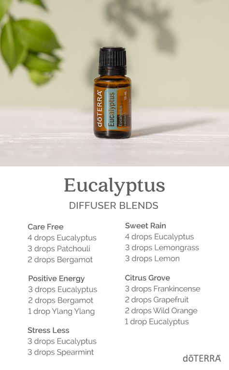 Eucalyptus Essential Oil Diffuser Blends, Essential Oil Recipes Eucalyptus, Essential Oil Eucalyptus Blends, Eucalyptus Mint Essential Oil Blend, Doterra Eucalyptus Diffuser Blends, Eucalyptus Essential Oil Blends, Eucalyptus Diffuser Blends, Terra Essential Oils, Doterra Oils Recipes