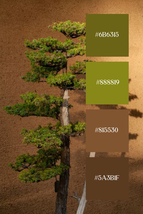 This Green and brown palette captures a bonsai tree with lush green foliage against a textured brown background, emphasizing the harmony of green and brown tones. Green Brown Color Palette, Green And Brown Palette, Brown And Green Color Palette, Green Colour Combinations, Brown Color Combinations, Green Brown Palette, Green And Brown Color Palette, Fall French Nails, Colour Palette With Hex Codes