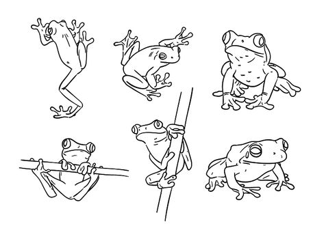 Frog Line Art, Tree Frog Drawing, Frog Line Drawing, Tree Frog Tattoos, Frog Coloring, Frog Sketch, Green Tree Frog, Frog Coloring Pages, Frog Illustration