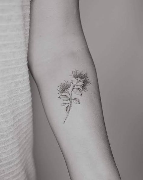 Native Plant Tattoo, Native Flower Tattoo, Pohutukawa Tattoo, Hippie Tats, Flower Tattoo Forearm, Tattoo Fern, Nz Tattoo, Nz Plants, Australian Botanicals