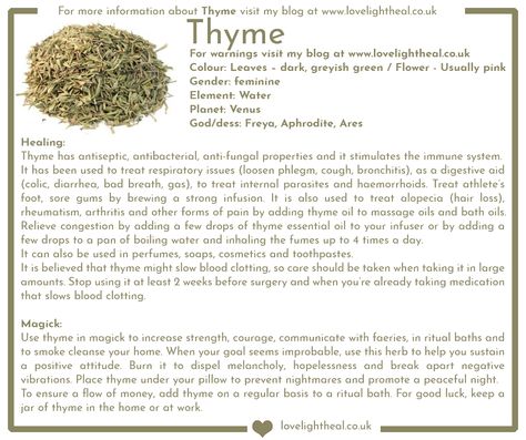 Thyme Image Properties Of Herbs Witchcraft, Thyme Medicinal Properties, Spiritual Uses Of Thyme, Thyme Witch Craft, Yerba Mate Magical Properties, Thyme Properties Magic, Magical Properties Of Thyme, Thyme Magical Properties, Yarrow Magical Properties